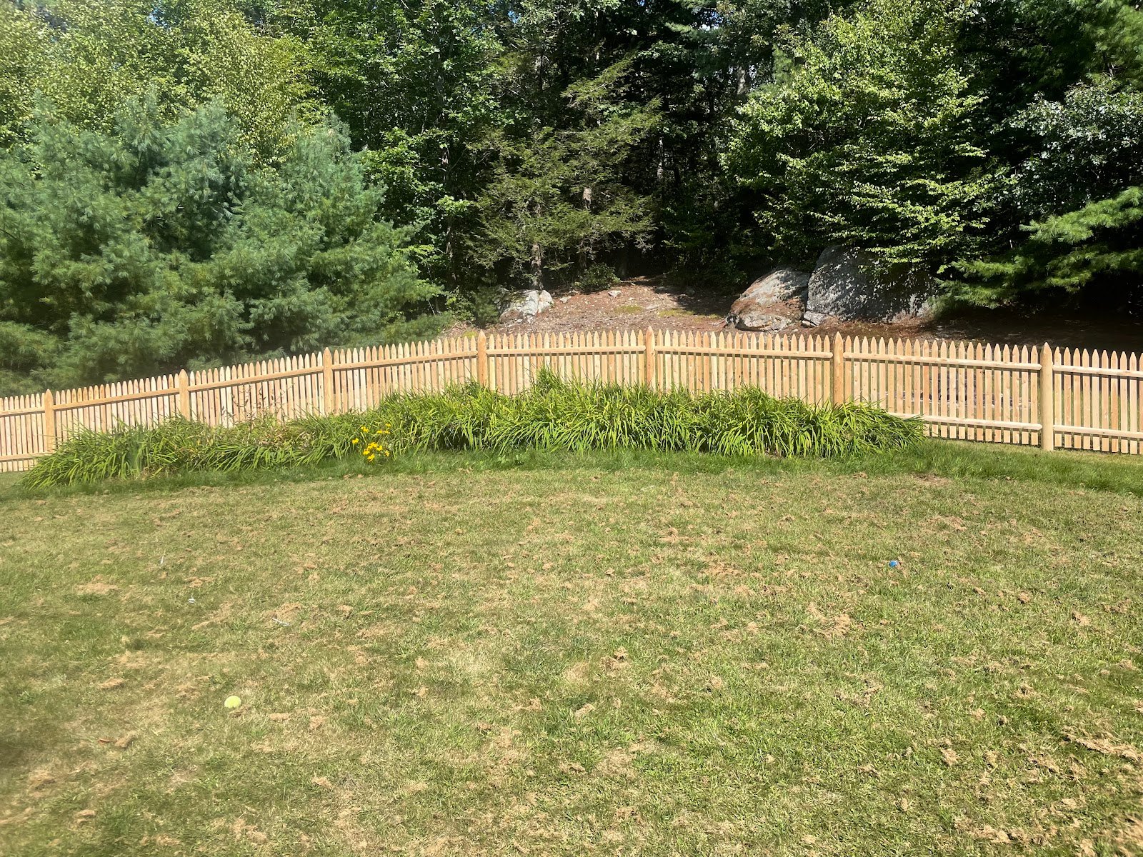 Cedar picket fence enclosing a sunny back lawn, installed by 4 Fencework